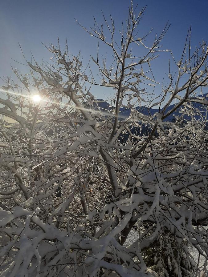 Huterhof Apt Wiesengrund 2 Riobianco Buitenkant foto